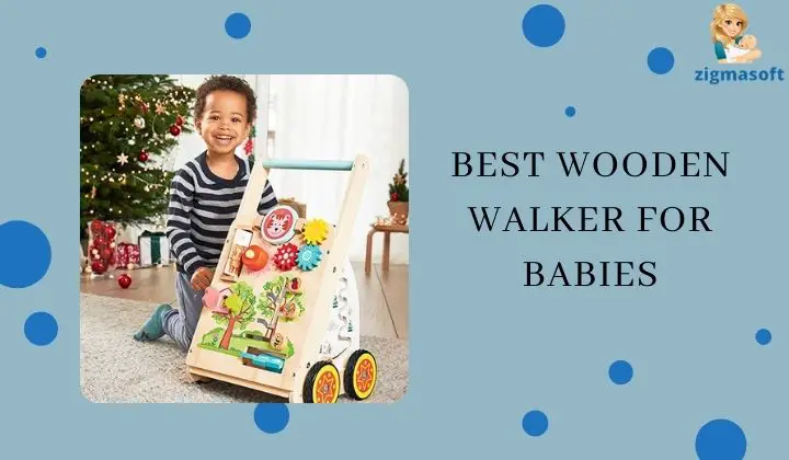 8 Greatest picket walker with brakes for infants [2022]- Newest Opinions and shopping for information –