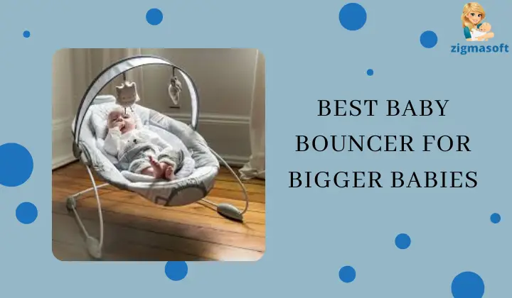 Greatest Child Bouncers over 20-30 kilos [2022] (Newest Evaluations) –