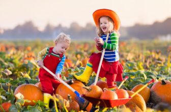 20 Issues to Do in November to Embrace Fall
