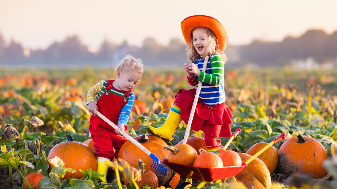 20 Issues to Do in November to Embrace Fall 20 Issues to Do in November to Embrace Fall