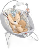 Fisher Worth fawn meadows deluxe bouncer Assessment with execs and cons [2021] –
