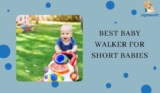 High 6 Greatest Child Walker For brief infants [2022] Simply Up to date! –